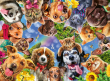 RAVENSBURGER pussel Animal selfie, 500st.,15042