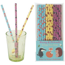 Rusty And Friends Paper Straws, Rex London