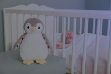 Zazu Phoebe Soft toy with night light