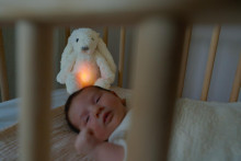 Zazu Ro Art.ZA-RO-03 White Soft toy with night light