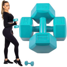 Dumbbell Set Springos FA1033 2 X 2,5kg