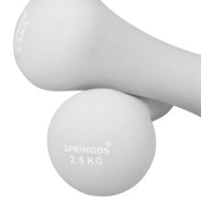 Neoprene dumbbells Springos FA1041 2x2.5kg