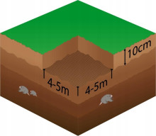 Tīkls pret kurmjiem Springos AN0001 30g/m2  2x200 m