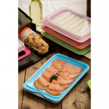 Food storage container for cold cut products Fresh 17x25,2x3,2cm blue