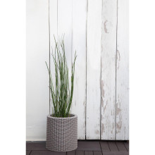 Flowerpot Small Cylinder Planter light grey