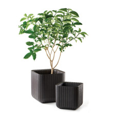 Keter vazonas Cube Planter, 50,5 l, rudas