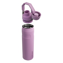 Termopudele The Aerolight IceFlow Water Bottle Fast Flow 0,6L gaiši violeta