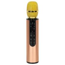Bebe Basic Microphone Bluetooth Art.KX3382_1 Wireless Karaoke Microphone for Kids with Bluetooth Speaker