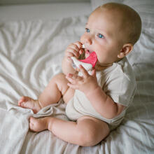 BabyOno Rattle Teething Toy Art.1593 Muzikinis barškutis