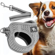 Pressure-free dog and cat harness set Springos PA0235, XS up to 5.5 kg + 150 cm leash, grey