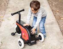 Italtrike La Cosa 2 Bike 2 in 1 Art.238316  Kids tricycle