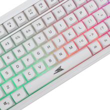 Baracuda BGC-012 Orca White Combo