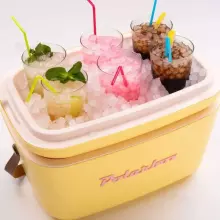 Polarbox Cool Box Retro Cooler Art.244394 Cyan – Baby rose