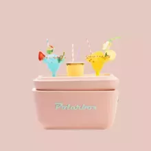 Polarbox Cool Box Retro Cooler Art.244395  Cyan – Baby Rose Camping Refrigerator 12L