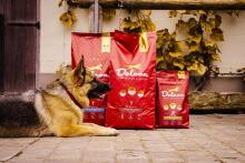 Корм для взрослых собак REGULAR PLUS с ягненком / 3 кг