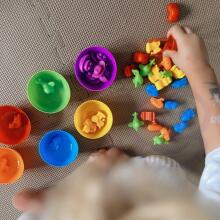 WOOPIE Montessori edukacinis žaidimas spalvų rūšiavimo gyvūnai 44 vnt.