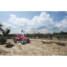 Педаль BERG XL Gokart Case IH BFR