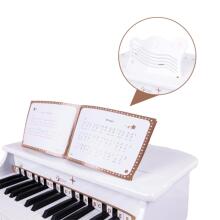 CLASSIC WORLD didelis vaikiškas pianinas su kėde ir mokymosi knyga