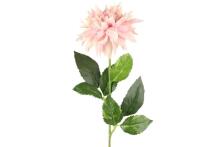 4Living Dalia 58 cm asortimentas