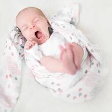 Aden Anais Muslin Swaddles Art.251311 Primrose High quality bamboo muslin swaddle, 1 pc. (120x120 cm)