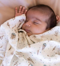 Aden Anais Muslin Swaddles Art.251313 Skylight High quality bamboo muslin swaddle, 1 pc. (120x120 cm)