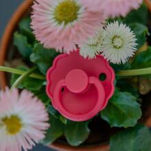 Frigg Daisy Round Latex Night Art.76221480 French gray night/Portobello  Pacifier (nipple) made of 100% natural rubber 0-6 months (2 pcs.)