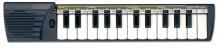 BONTEMPI 25 klavišų pianinas, 152500