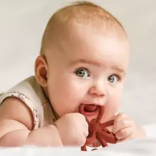 Haakaa Silicone Teether Clover Art.TPS038-C  Silikoninis barškutis (100 % natūralus)