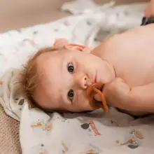 Haakaa Silicone Dummy  Art.TPS031 Amber Natural anatomical 3+ month