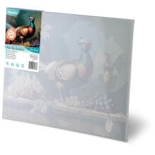 Paveikslas pagal numerius 40x50 cm Massido Pheasant