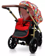 Babylux Aspero Art.286106 Colorful Feathers Universal 3-in-1 stroller
