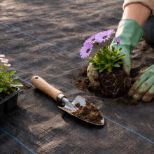 Black UV-resistant agro fabric 90 g/m² weed control mat 1.6 × 50 m, pins, MultiGarden