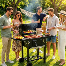 Charcoal garden grill with lid, adjustable grate, thermometer and ash collector, MultiGarden