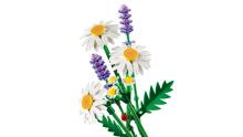 LEGO Botanicals Ramunės