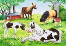 Ravensburger dėlionė 2x24 vnt. Arklių pasaulis