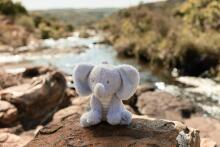 Little Dutch Cuddle Elephant 17 cm Safari Friends GRS Art.8362