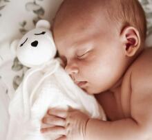 La Bebe™ Sleep Comforter Gift Set Art.299202 Black Bunnies Soft security blanket + Pacifier holder