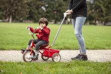 Italtrike  Passenger Champion Art.32931 Kids tricycle