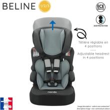Nania'13 TeamTex Belinesp Girafe KOT X2 - L6 298545 Автокресло (от 9 до 36 кг)