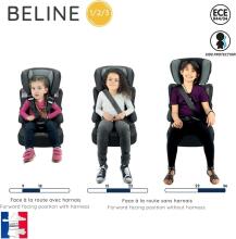 Nania'13 TeamTex Belinesp Girafe KOT X2 - L6 298545 Автокресло (от 9 до 36 кг)