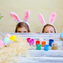 Home Company Rabbit Ear Art.53836 Карнавальный костюм  - зайчьи уши,1 шт